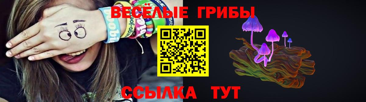Галлюциногенные грибы прущие грибы Нальчик
